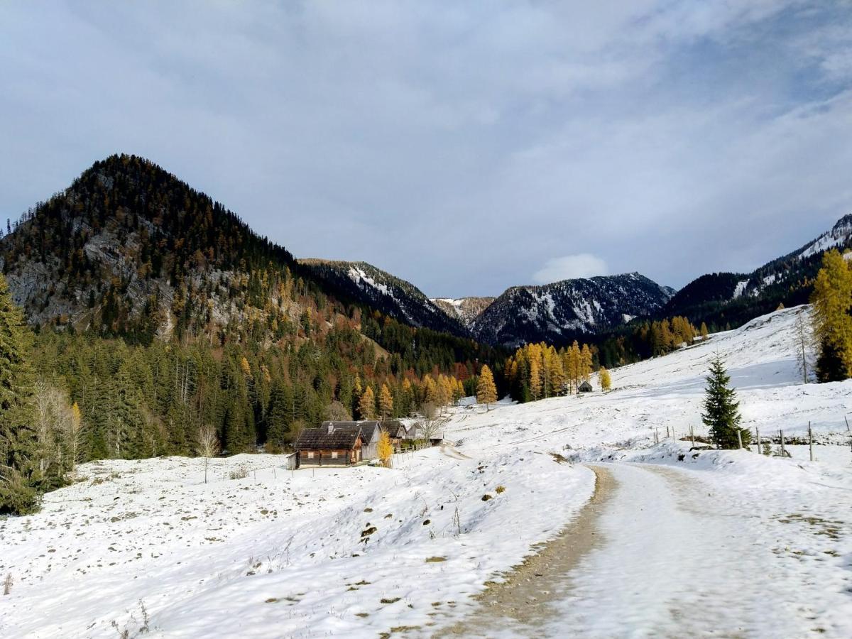 Berglebnis Lägenhet Tauplitz Exteriör bild