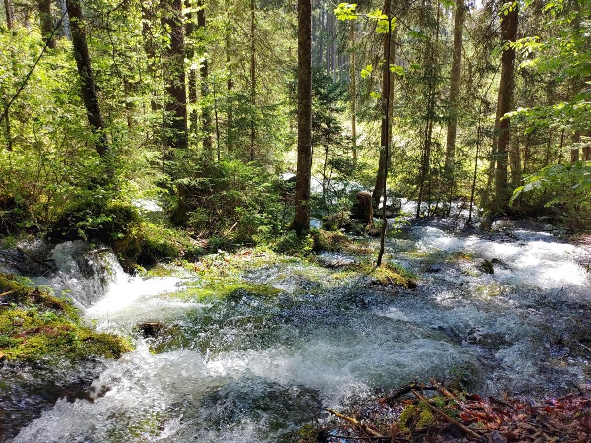 Berglebnis Lägenhet Tauplitz Exteriör bild