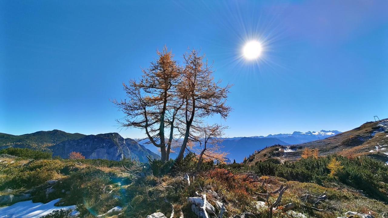 Berglebnis Lägenhet Tauplitz Exteriör bild
