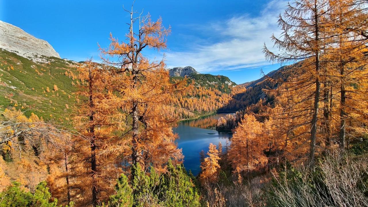 Berglebnis Lägenhet Tauplitz Exteriör bild